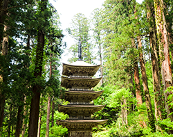 Pagode des Haguro-san Unser letzter Landausflug der Japan Kreuzfahrt führt Sie zu den heiligen Dewa Bergen zum Haguru-san.