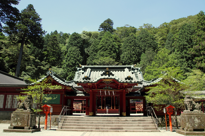 Small Image 1