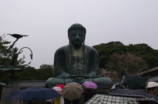 shogune-sonne-april-2015