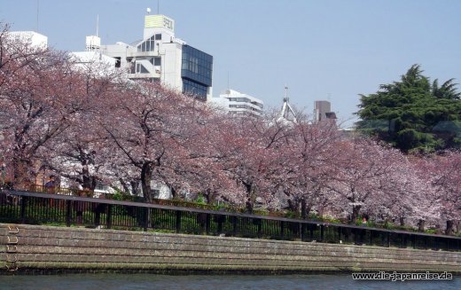 shogune-sonne-april-2015