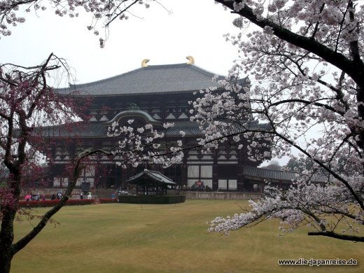 shogune-sonne-april-2015