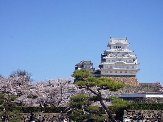 shogune-sonne-april-2015