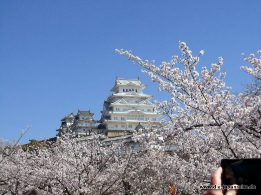 shogune-sonne-april-2015