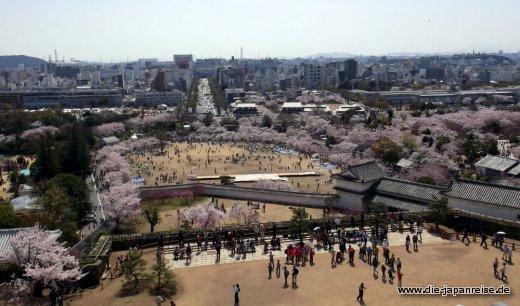 shogune-sonne-april-2015