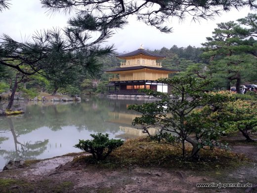 shogune-sonne-april-2015