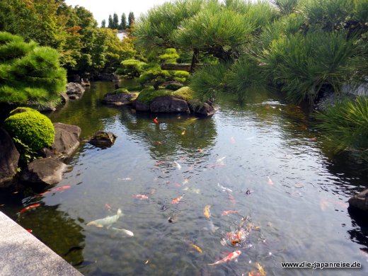 japan-intensiv-oktober16