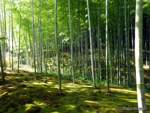 japan-intensiv-oktober16