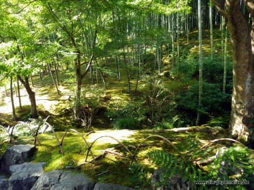 japan-intensiv-oktober16