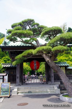 japan-intensiv-oktober16