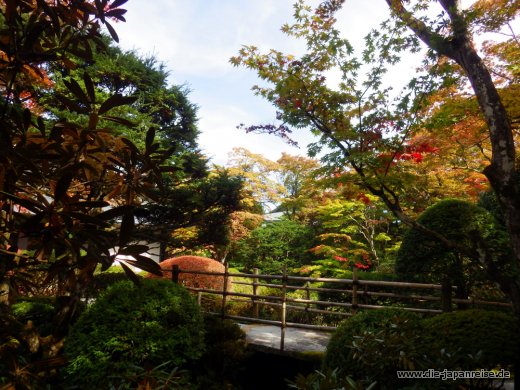 japan-intensiv-oktober16