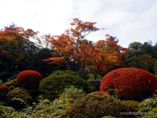 japan-intensiv-oktober16