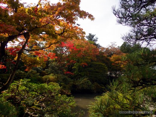 japan-intensiv-oktober16