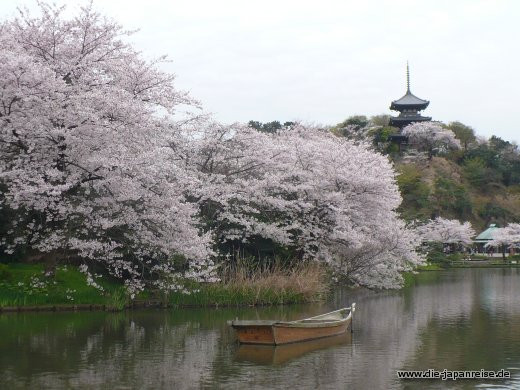 Zum Sankeien japan-live-maerz16