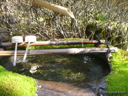 Reinigungsbecken im Garten der Kleinen Schritte japan-live-maerz16