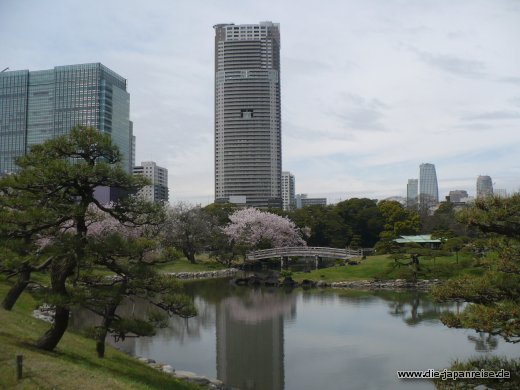 Kontrast von Metropole und feudalem Garten japan-live-maerz16