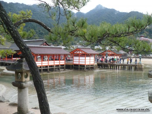 Mal in Wasser, mal an Land - Gezeiten auf Miyajima japan-live-maerz16