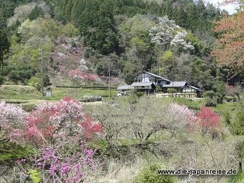 nakasendo-2016
