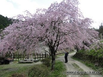 nakasendo-2016