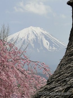 nakasendo-2016