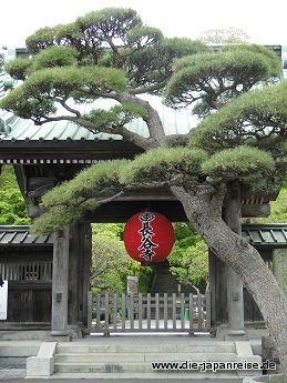 nakasendo-2016