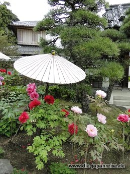 nakasendo-2016