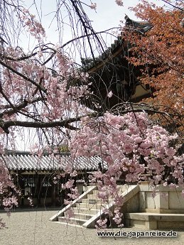 nakasendo-2016