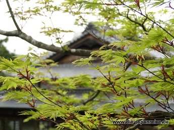 nakasendo-2016