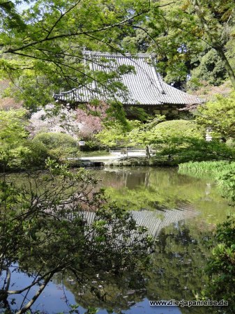 nakasendo-2016