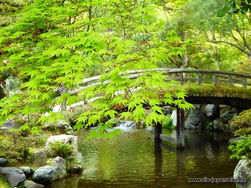 nakasendo-2016