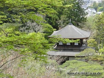 nakasendo-2016