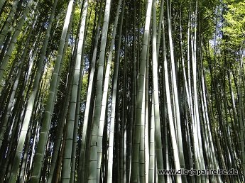 nakasendo-2016