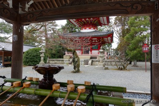 japan-intensiv-maerz17