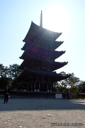 japan-intensiv-maerz17