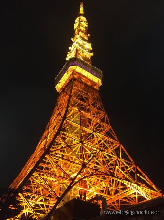 japan-intensiv-maerz17