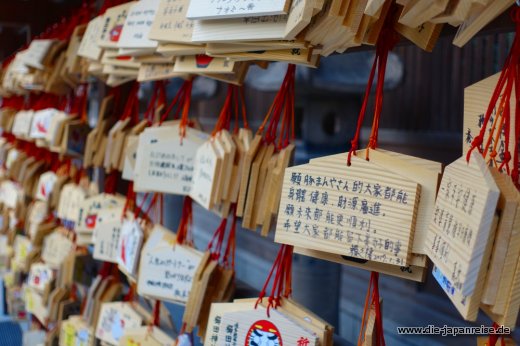 japan-intensiv-maerz17