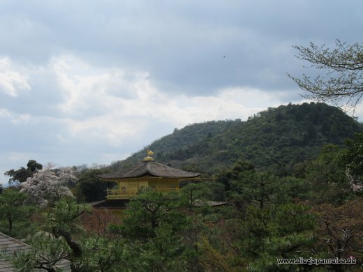Die Spitze des Goldenen Pavillons japan-live-april2017