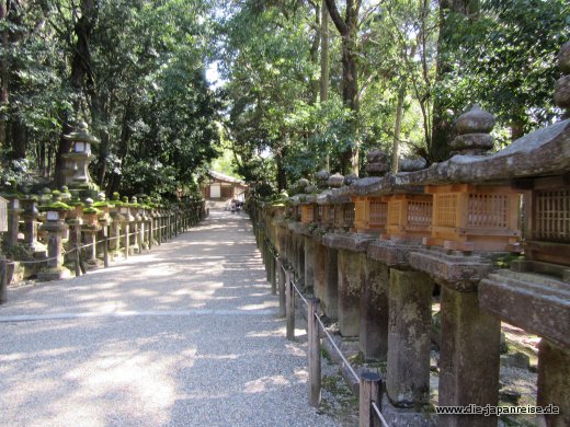Tausende Laternen stehen im Wald rund um den Kasuga Taisha Schrein japan-live-maerz2017