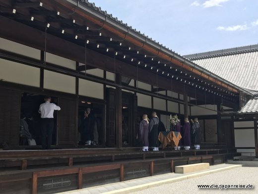 japan-live-mai2017