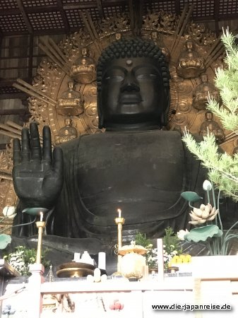 japan-live-mai2017