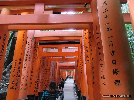 Rote Tore JapanLiveMaerz