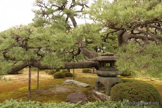 Steinlaterne im Garten JapanLiveMaerz