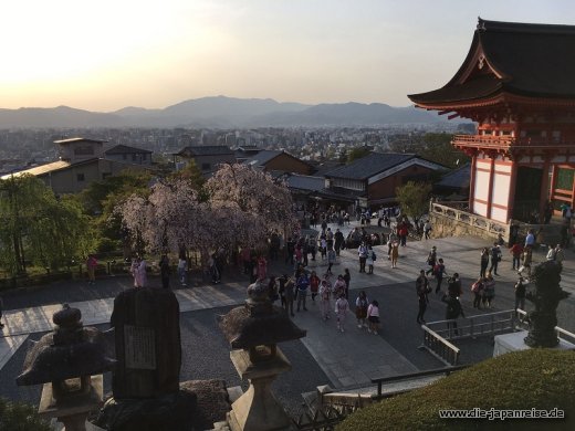 Kyoto von oben JapanLiveMaerz