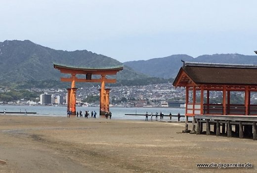 Miyajimas Wassertor...ohne Wasser JapanLiveMaerz
