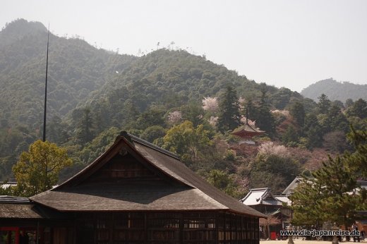 Szenerie auf Miyajima JapanLiveMaerz