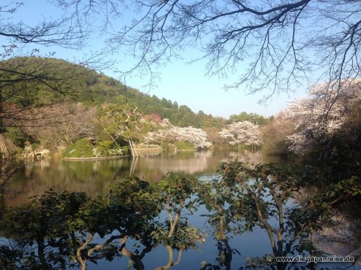 See beim Ryoanji JapanLiveMaerz