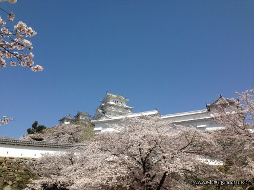 Und weils so schön war, nocheinmal JapanLiveMaerz