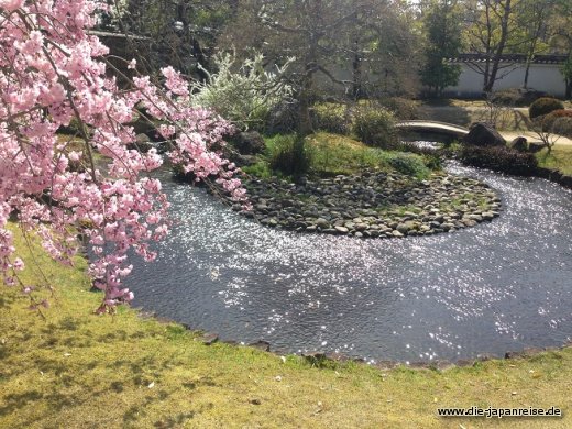 Auch der Garten ist nicht ohne JapanLiveMaerz