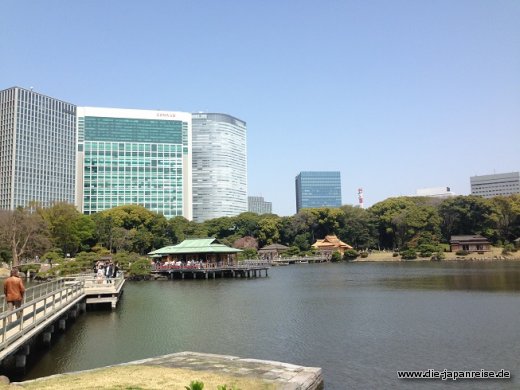 Der Garten der Shogune JapanLiveMaerz