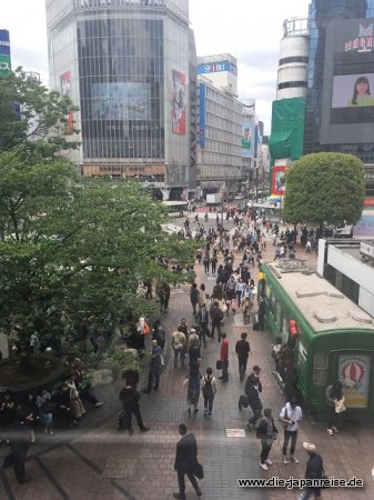 Jugendviertel Shibuya JapanLiveMaerz