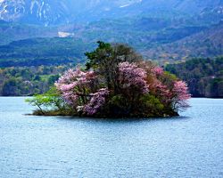 Insel im Hibarasee